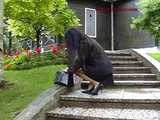  016081 Eve Pees On The Park Steps 7