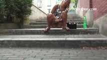 047022 Yassie Has To Stop For A Pee On The Flight Of Steps 8