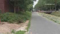 047005 Yassie Ignores Passersby To Pee On The Towpath 9