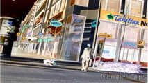 HDC Bonus - Walking in Public Part 02 10