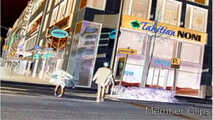 HDC Bonus - Walking in Public Part 02 8