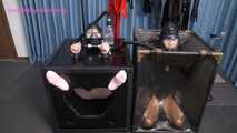 Xiaomeng and Xiaoyu Linked Breathing and Shared Fate 10
