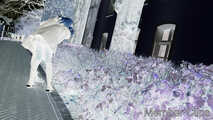HDC Bonus - German Street Carnival 9