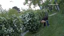046002  The Guard Dog Is Not Impressed By Jenny Peeing Outside His Garden 6