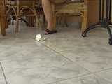 034012 Cindy Leaves Another Puddle On The Floor 4