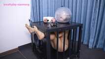 Xiaomeng Bubble Helmet Isolation and Restraint 3