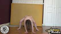 HDC Project - Drunk and unrestrained 10