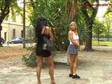 023060 Ewa Takes Cover By A Planter To Pee In The Square 5