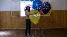 dany 264 9