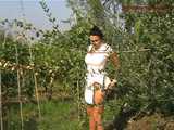 016137 Eve Also Pees By The Vines & Pinches A Few Grapes 7