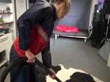 Watch sonja cleaning the room in her shiny nylon Rainwear 7