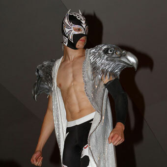 Aigle Blanc